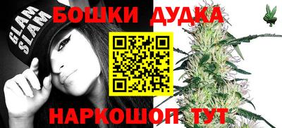 крисы Сланцы