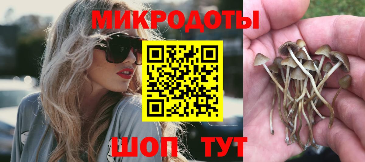Галлюциногенные грибы Cubensis Октябрьский